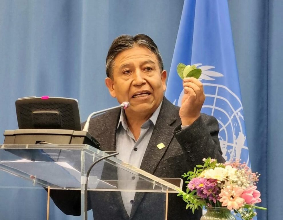 Despenalización de la hoja de coca defendida por Choquehuanca en la ONU