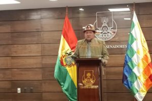 Irregularidades en elecciones judiciales denunciadas por Hilarión Mamani