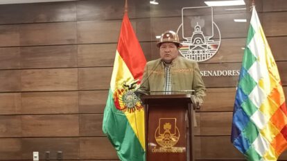 Irregularidades en elecciones judiciales denunciadas por Hilarión Mamani