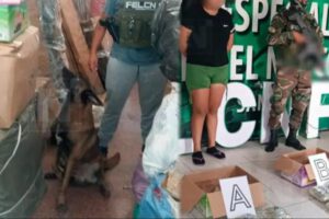 Aprehenden a mujer tras hallazgo de 18 paquetes de marihuana en empresa de encomiendas.