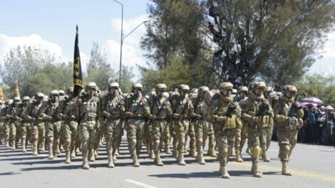 Efectivos militares en un pasado acto