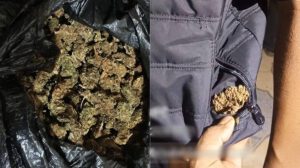 marihuana en una bolsa y otro tanto en los bolsillos