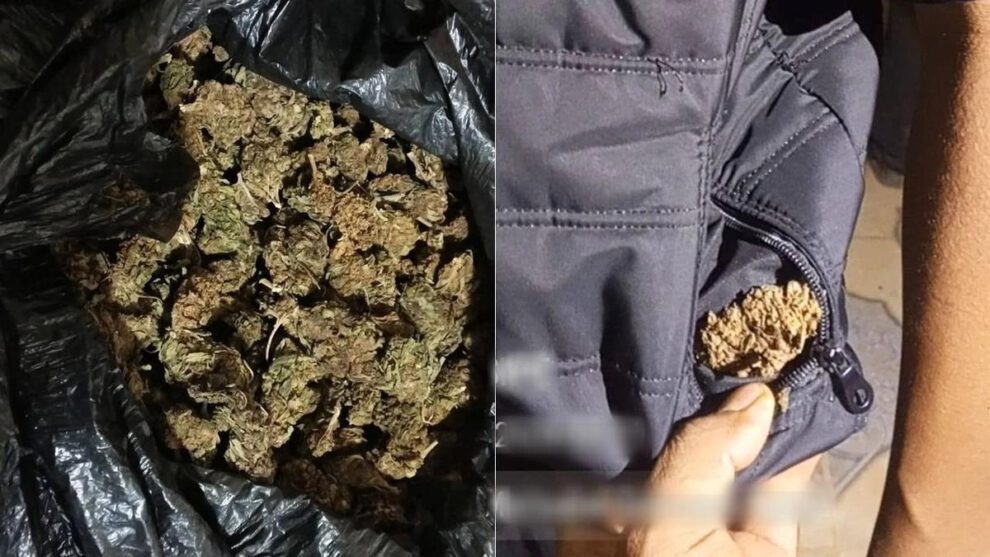 marihuana en una bolsa y otro tanto en los bolsillos