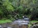Bosques