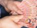 Billetes de 100 bolivianos