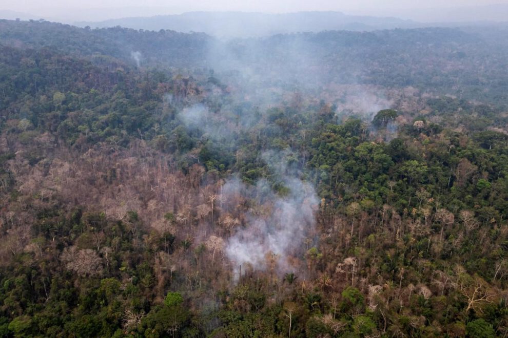 Zona quemada ilegalmente en el Parque Estatal Guajará-Mirím en Nova Mamoré de Brasil