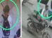 Imagen de las cámaras de seguridad