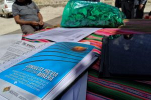 Consulta Previa La Paz