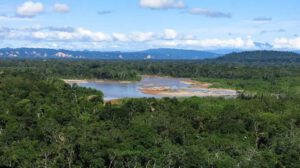 Madidi