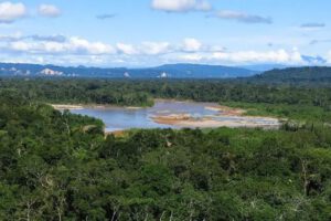 Madidi