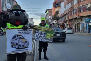 Imagen de la socialización