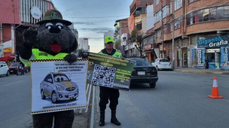 Imagen de la socialización