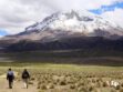 Sajama