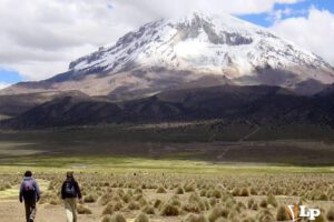 Sajama