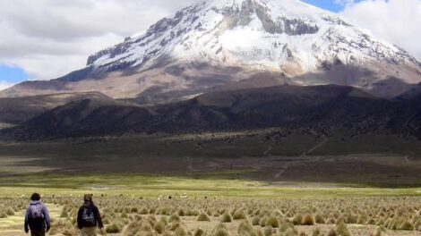 Sajama