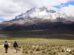 Sajama