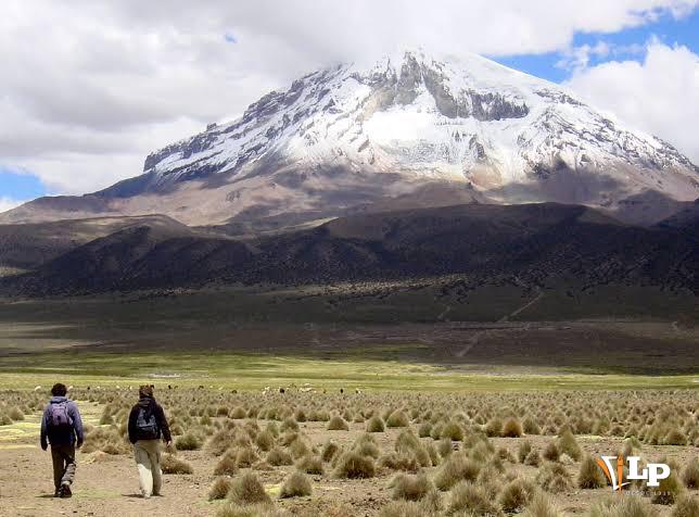 Sajama