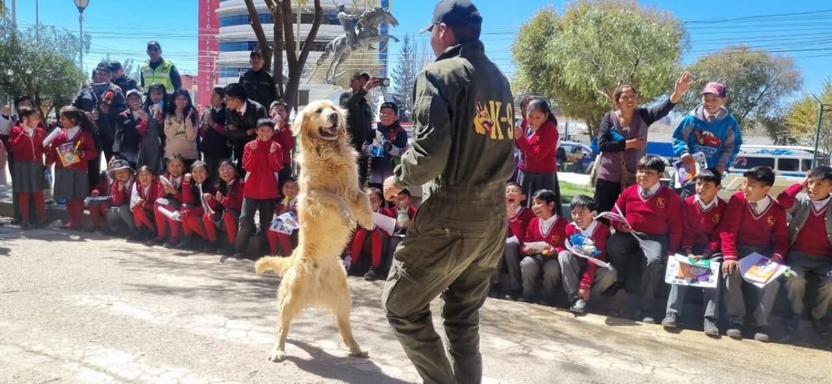 Imagen del desarrollo de la feria