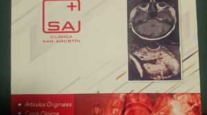 Revista
