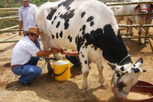 leche