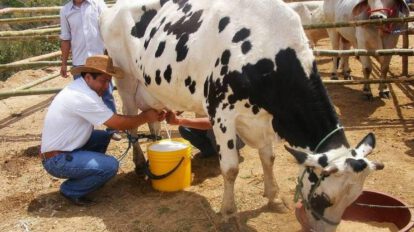 leche