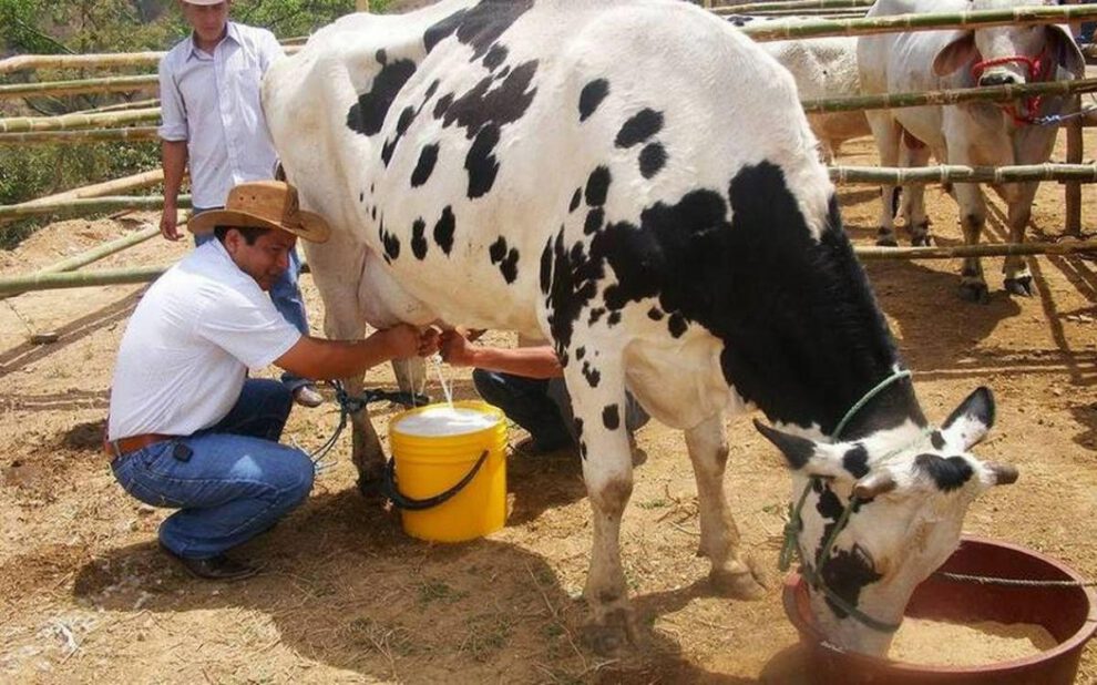 leche