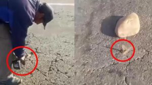Un  persona utiliza un taladro industrial para perforar la capa asfáltica