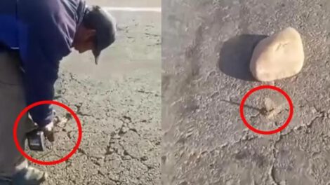 Un  persona utiliza un taladro industrial para perforar la capa asfáltica
