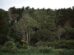 Entre 2015 y 2025, la superficie forestal mundial experimentó una reducción de 41 millones de hectáreas