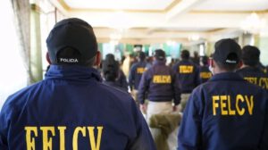 La Fuerza Especial de Lucha Contra la Violencia (Felcv)