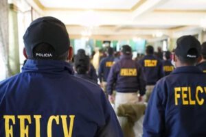 La Fuerza Especial de Lucha Contra la Violencia (Felcv)