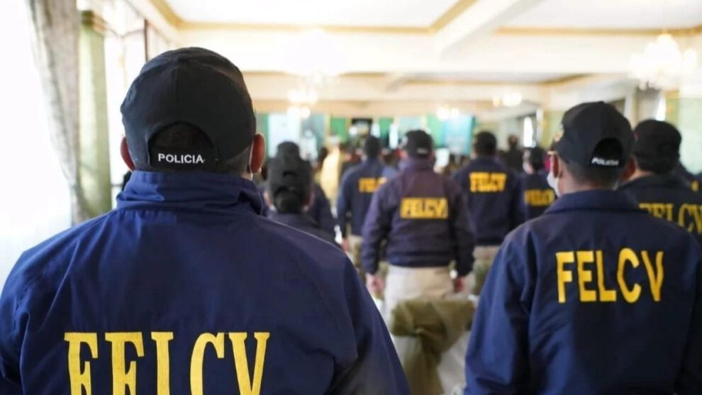La Fuerza Especial de Lucha Contra la Violencia (Felcv)