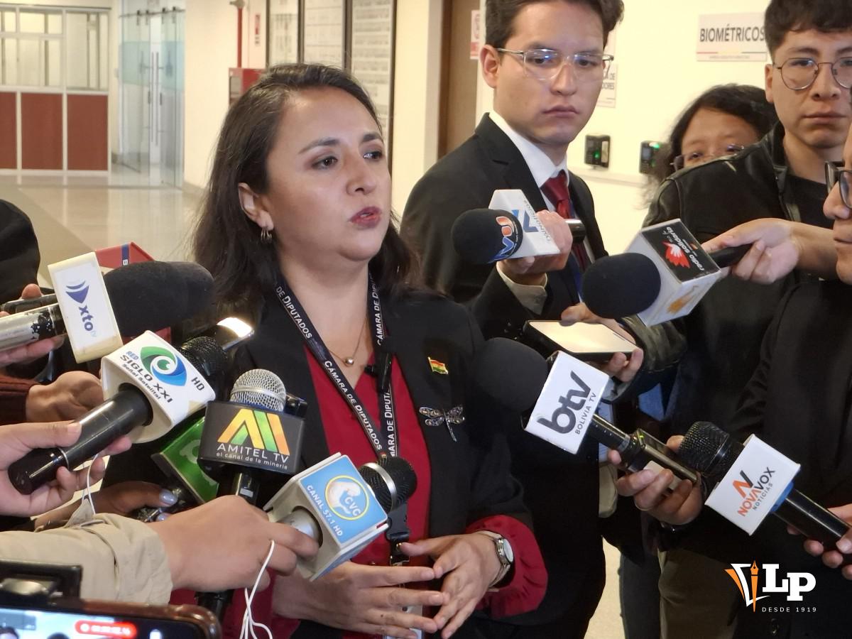 La diputada Vargas en conferencia de prensa