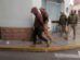 Imagen del acusado