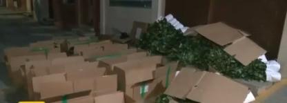 Cajas de