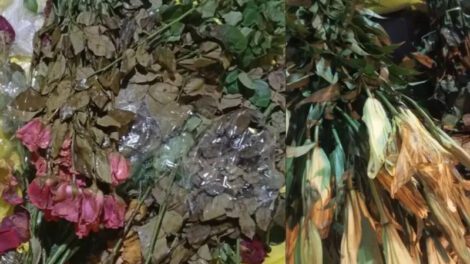 FLORES