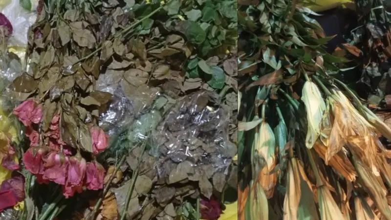 FLORES