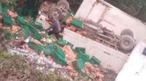 Tras el accidente, el cargamento de pollos quedó disperso sobre la calzada