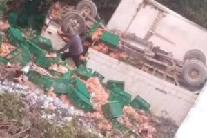 Tras el accidente, el cargamento de pollos quedó disperso sobre la calzada