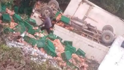 Tras el accidente, el cargamento de pollos quedó disperso sobre la calzada