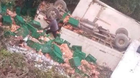 Tras el accidente, el cargamento de pollos quedó disperso sobre la calzada