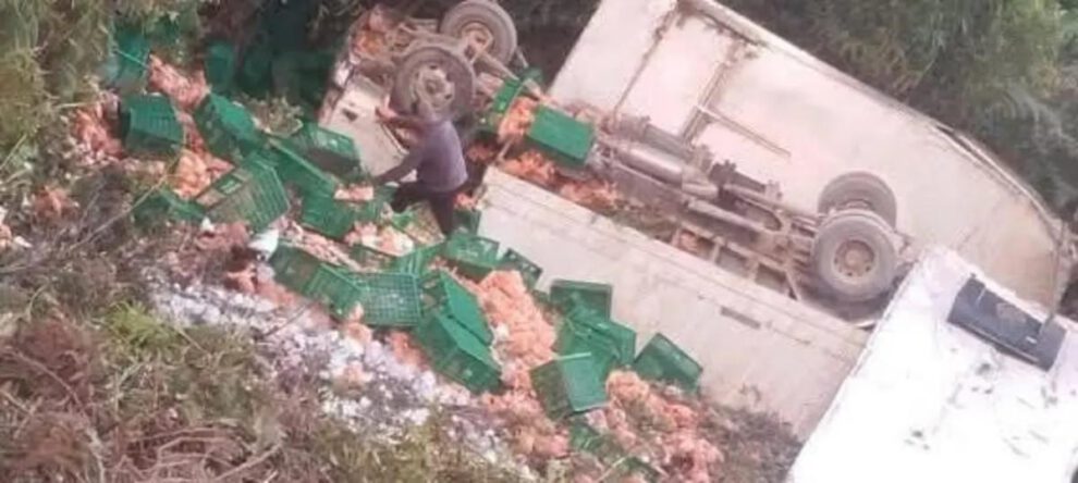 Tras el accidente, el cargamento de pollos quedó disperso sobre la calzada