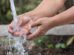 Una persona lavándose las manos en un grifo de agua