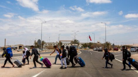 migrantes