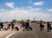 migrantes