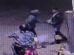 El asalto violento se reistro en una estación de servicio en el departamento de Santa Cruz