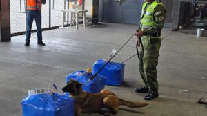 Can policial