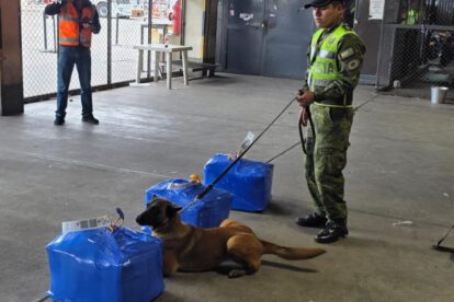 Can policial