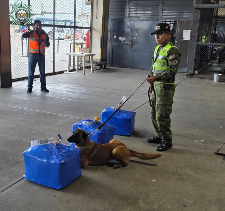 Can policial