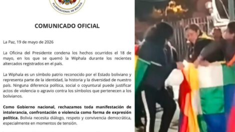 En las imágenes se observa cómo los manifestantes arrancaron la Wiphala para romperla y quemarla